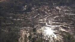 Trees And Marshes  - Aerial View - South Carolina,  Lee County,  United States Stock Footage