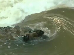 Stream Curl SD NTSC fha Stock Footage