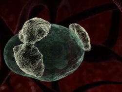 Extreme Close Up push-in - Parasites attach to cells in a computer-generated animation. Stock Footage