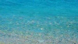 medusa in the clear sea water Stock Footage