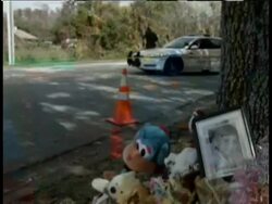 Skeletal remains found in the woods are the Florida 3-year-old who has been missing since June, and her death is considered a homicide, a county medical examiner said Friday. Instructional Video