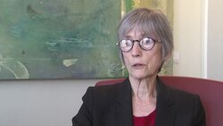 Attorney: US VW settlements strong message News Clip