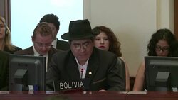 CLEAN : Venezuela sends embassador at OAS special session News Clip