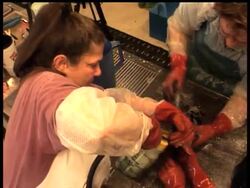 Investigators want to know if a harbor pilot under investigation in the San Francisco Bay oil spill initially downplayed the damage to his ship. News Clip