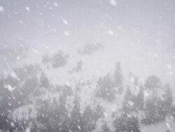 Snow Falling - Loopable Stock Footage