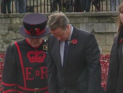 David and Samantha Cameron inspecting poppies News Clip