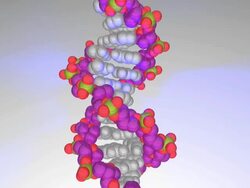 Animation of rotating model of DNA showing base pairs in white and the sugar-phosphate backbones in violet, red and green Stock Footage
