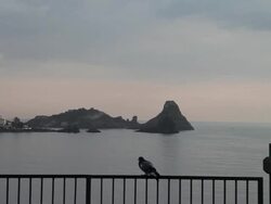 Aci Castello, a dove and the Cyclopean Isles in the background Stock Footage