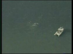 7-year-old swims from Alcatraz to San Francisco News Clip