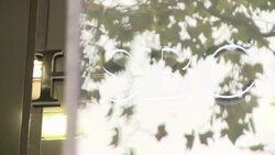 CLEAN : HSBC says target of French tax fraud probe News Clip