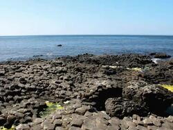 WS View of Basalt shore at Giant's Causeway / Giant's Causeway, Northern Ireland, United Kingdom  Stock Footage