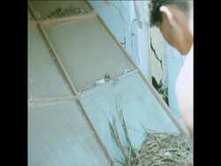 SYND 14/12/1970 EARTHQUAKE DAMAGE IN PERU News Clip