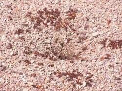 All for one Stock Footage