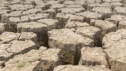 arid climate Stock Footage