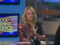 Carrie Underwood (guest co-host) holding a puppy while on the set of Good Morning America in New York, NY, on 8/12/13. (Getty Images Entertainment Video) Stock Footage