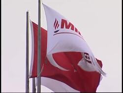 Reports released Pope gunman may serve another 11 months Instructional Video