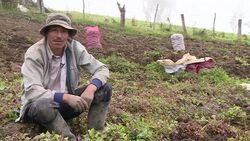 VOICED : FARC una leyenda viva en Sumapaz News Clip