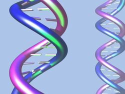 DNA molecule twist animation Stock Footage