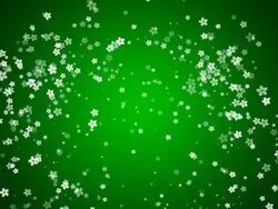 Flowers explosion Stock Footage