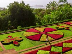 Botanical Gardens Stock Footage
