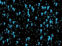 Question Mark Particle Loop Stock Footage