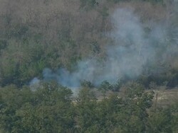AERIAL WS Smoke in Econfina state park / Florida, United States Stock Footage