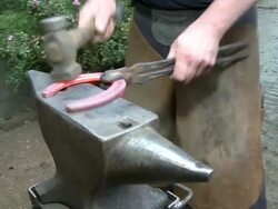  MS View of horseshoer at work / Ayl,Rhineland-Palatinate, Germany Stock Footage