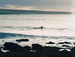 Surfer Stock Footage