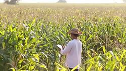 Smart Farmer Stock Footage