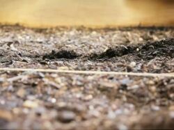 Planting Seeds (HD) Stock Footage