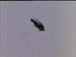 KITE FLYING FESTIVAL News Clip