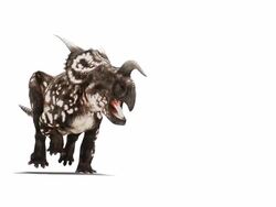 Einiosaurus dinosaur animation. This horned herbivorous dinosaur is known from fossils discovered in Montana, USA. It dates from the Late Cretaceous period, 65 to 100 million years ago. For the RGB and image mask, see image number K002 5498 Stock Footage