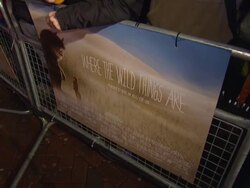 Where The Wild Things Are Premiere Stock Footage