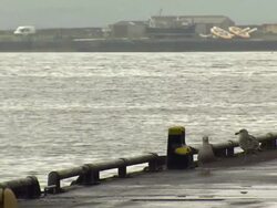 Scottish Referendum: Orkney Stockshots Generic Coastal Scotland News Clip