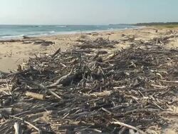 flotsam Stock Footage