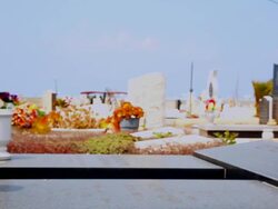 Graveyard Stock Footage