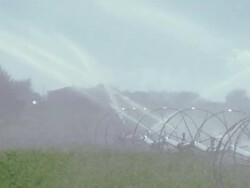 Slow Motion Water sprays from irrigation pipe in alfalfa field Stock Footage