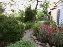 MS Shot of beautiful landscaped garden outside of home / Lamy, New Mexico, United States Stock Footage