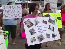 Michael Vick protest Stock Footage