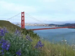 Golden Gate Bridge Stock Footage