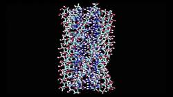 How did life on Earth begin? Instructional Video