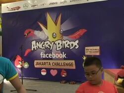 Angry birds Stock Footage