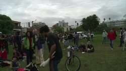 CLEAN : Cannabis growers and smokers react to legalisation in Uruguay News Clip