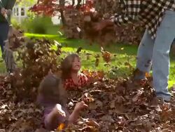 MS SLO MO DS Grandmother grandfather grandson and granddaughter playing in pile of leaves / Tivoli, New York, United States Stock Footage