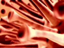 ELectron Microscopy view of a Virus, loop video. Stock Footage