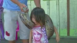 A world of strange and wonderful animals await curious football fans Instructional Video