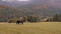 AERIAL Couple riding their horses in countryside Stock Footage