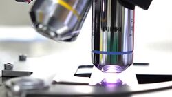 scientist testing with microscope in Laboratory. full HD video Stock Footage