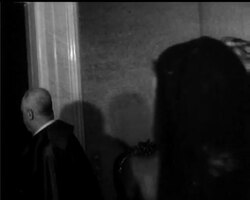 THE WILSONS MEET THE POPE News Clip