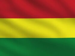 Bolivian flag Stock Footage